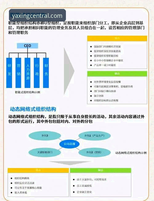 亚星官方平台深度评测：从用户体验到技术架构的全面分析