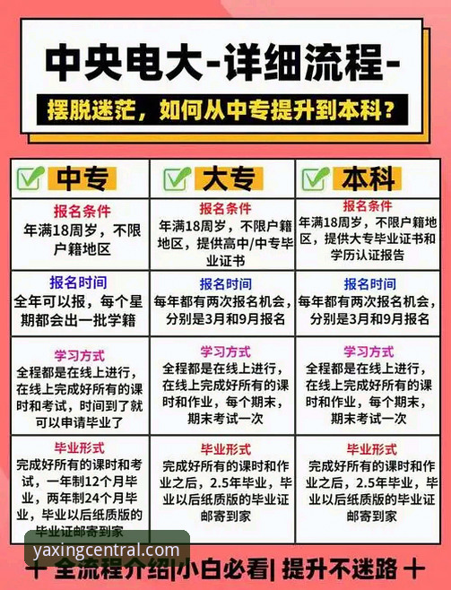 亚星官方平台体验详解：从下载到登录的全流程指南